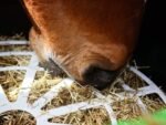 Le Pack Forager Régulateur + Le Forager de Haygain – vue 7