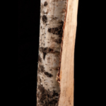 15 sacs de bois de bouleau 100% sec de 8 kg – 25cm – vue 3