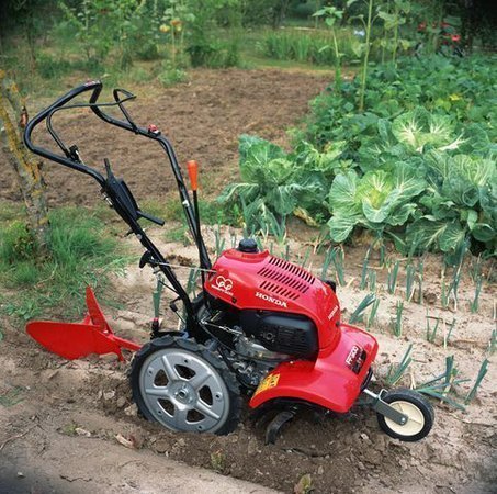 Honda FF 300 DE – Motoculteur compact et performant – vue 2