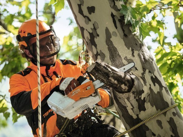 ÉLAGUEUSE À BATTERIE STIHL MSA 161 T – vue 2
