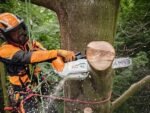 ÉLAGUEUSE À BATTERIE STIHL MSA 220 T – vue 2