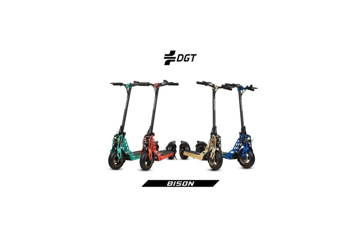 Bison 800W Trottinette électrique 10 pouces