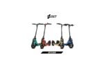 Bison 800W Trottinette électrique 10 pouces