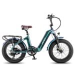 Fafrees F20 Master 500W 20″ Fat Bike VTC électrique en Fibre de Carbone 22.5Ah Batterie Samsung – vue 15